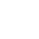 Wordpress technology icon